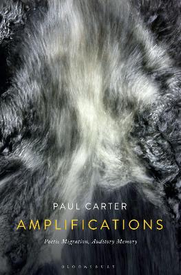 Book cover for Amplifications