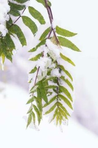 Cover of First Winter Snow on a Green Leaf Journal