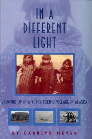 Cover of In a Different Light
