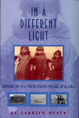 Book cover for In a Different Light