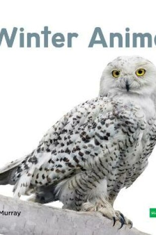 Cover of Winter Animals