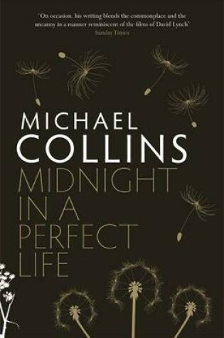 Cover of Midnight in a Perfect Life