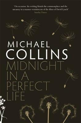 Book cover for Midnight in a Perfect Life