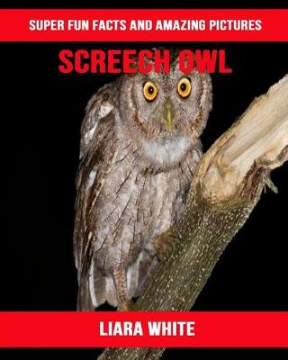 Book cover for Screech Owl