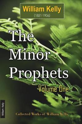 Book cover for The Minor Prophets Volume One