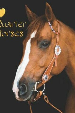 Cover of Quarter Horse