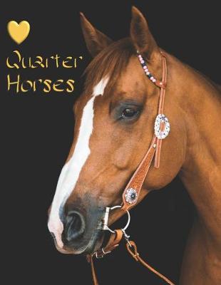 Book cover for Quarter Horse
