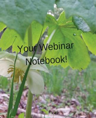 Cover of Your Webinar Notebook! Vol. 7