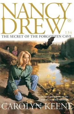 Book cover for The Secret of the Forgotten Cave