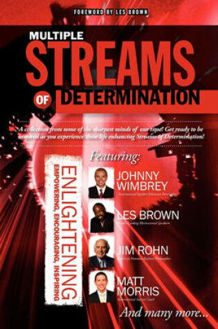 Cover of Multiple Streams of Determination, A New Chapter