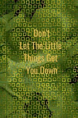 Book cover for Don't Let the Little Things Get You Down