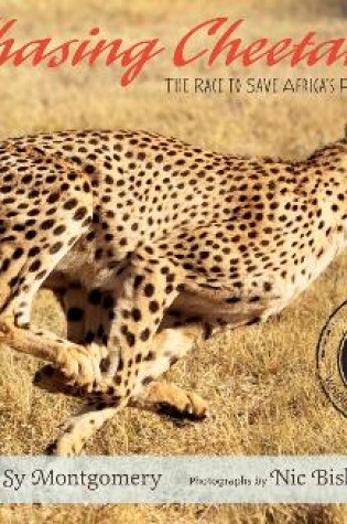 Cover of Chasing Cheetahs: The Race to Save Africa's Fastest Cats