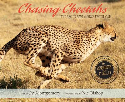 Book cover for Chasing Cheetahs: The Race to Save Africa's Fastest Cats