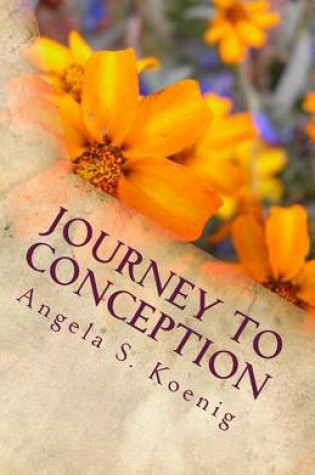 Cover of Journey to Conception