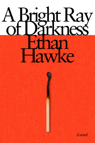 Cover of A Bright Ray of Darkness