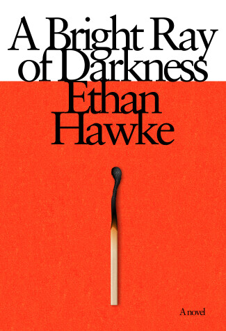 Book cover for A Bright Ray of Darkness