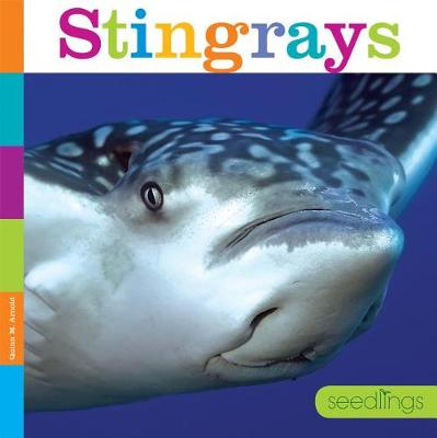 Cover of Seedlings: Stingrays