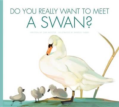 Book cover for Do You Really Want to Meet a Swan?