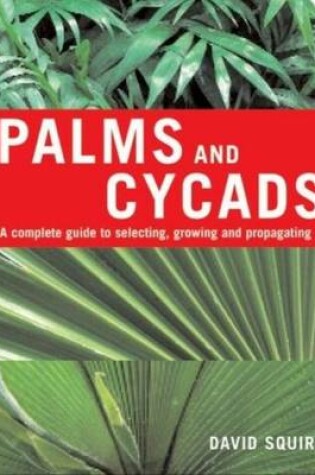 Cover of Palms and Cycads