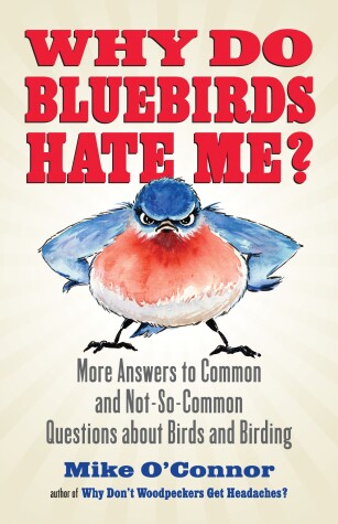 Book cover for Why Do Bluebirds Hate Me?