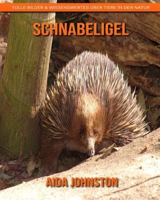 Book cover for Schnabeligel