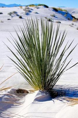 Cover of Yucca Plant in a Desert Landscape Journal