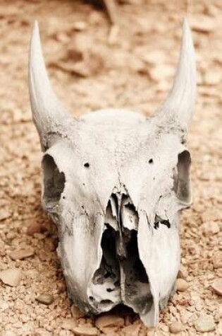 Cover of Horned Animal Skull