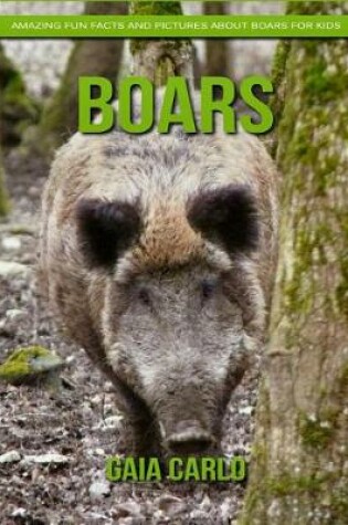 Cover of Boars