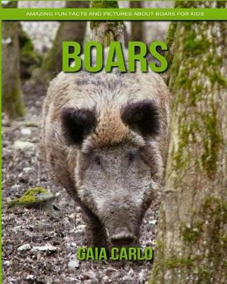 Book cover for Boars