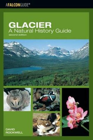 Cover of Glacier: A Natural History Guide