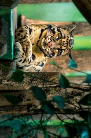 Cover of A Cloud Leopard Resting Journal