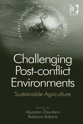 Cover of Challenging Post-conflict Environments