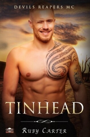 Cover of Tinhead