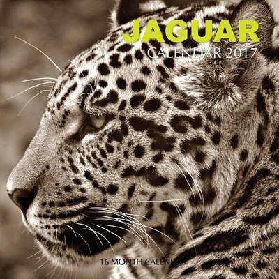 Book cover for Jaguar Calendar 2017