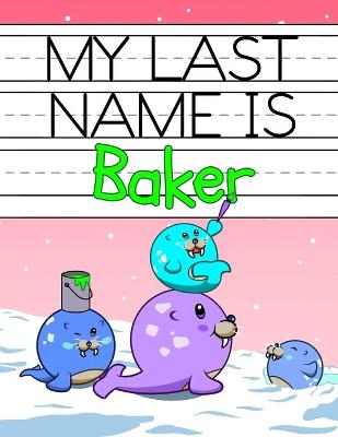 Book cover for My Last Name is Baker