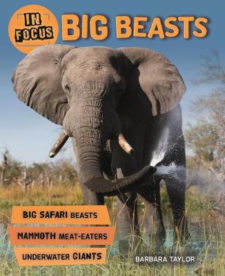 Cover of In Focus: Big Beasts