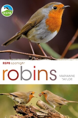 Cover of RSPB Spotlight: Robins