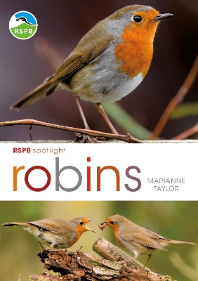 Book cover for RSPB Spotlight: Robins
