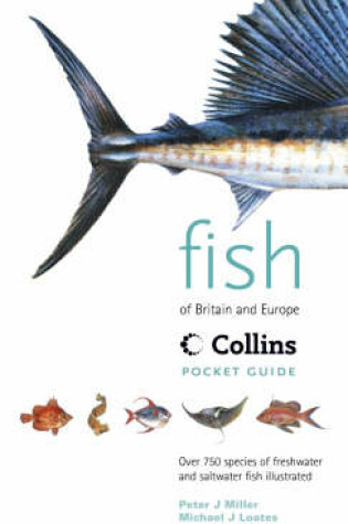 Cover of Fish