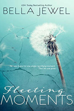 Cover of Fleeting Moments