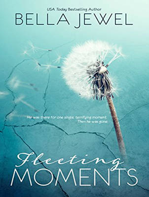 Book cover for Fleeting Moments