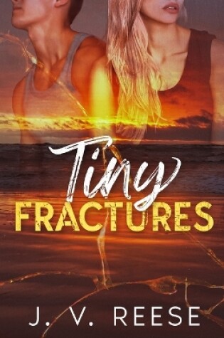 Cover of Tiny Fractures