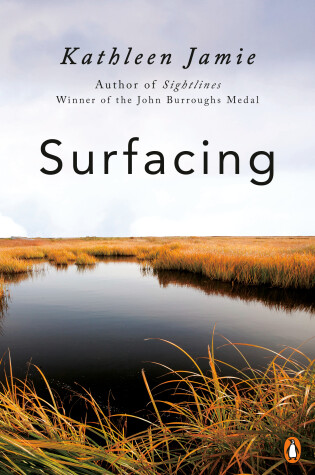 Cover of Surfacing