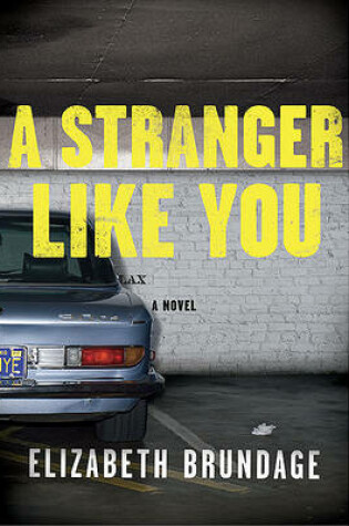 Cover of A Stranger Like You