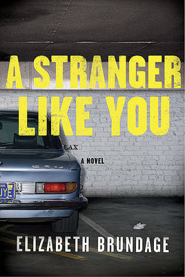 Book cover for A Stranger Like You