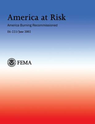 Book cover for America at Risk