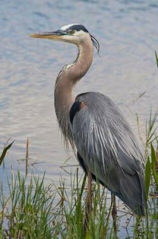 Cover of Great Blue Heron Journal