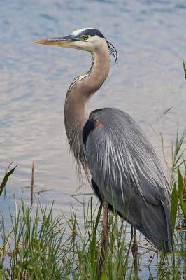 Book cover for Great Blue Heron Journal