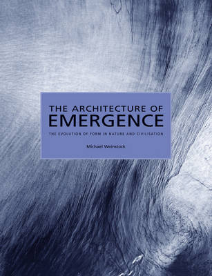 Book cover for The Architecture of Emergence