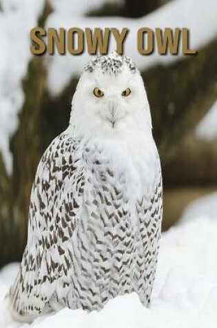 Cover of Snowy owl